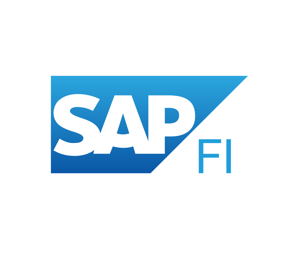 SAP FI User Training