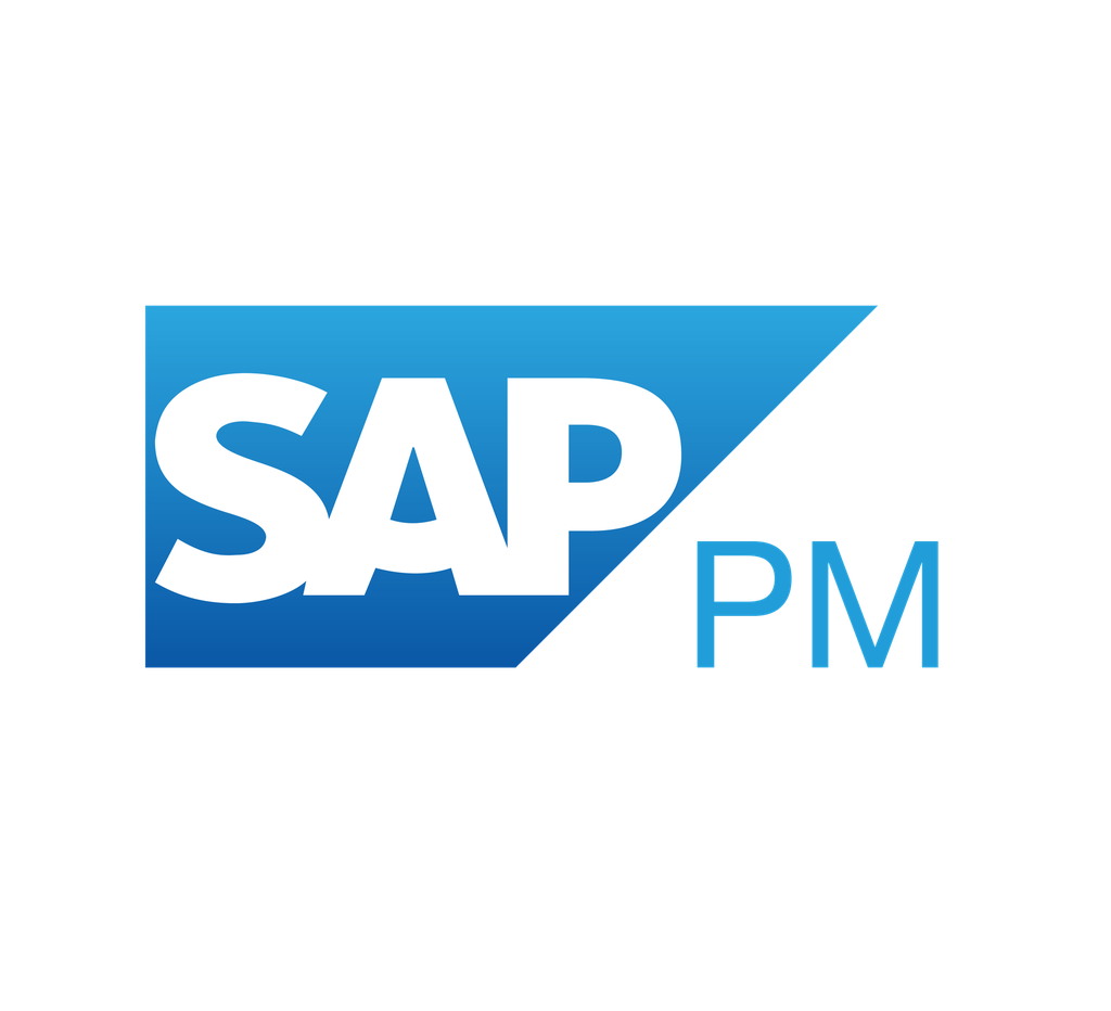 SAP PM Consulting Training